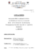 Langgutachten.pdf
