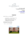 Langgutachten.pdf