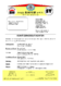 GA_EXE Maly.pdf