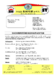 GA_Exe Vizler.pdf
