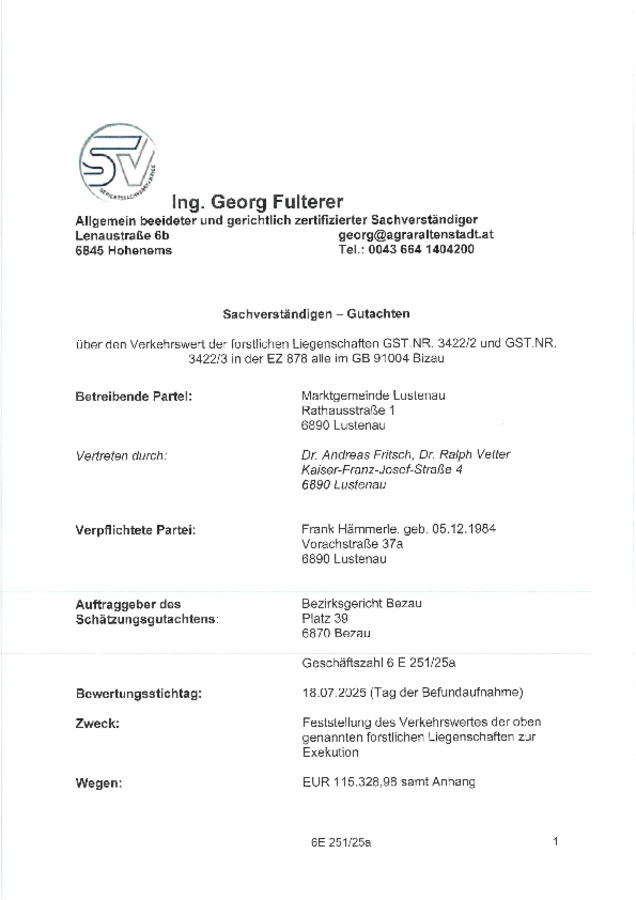 Gutachten Exekutionssache Hämmerle Frank, Lustenau.pdf