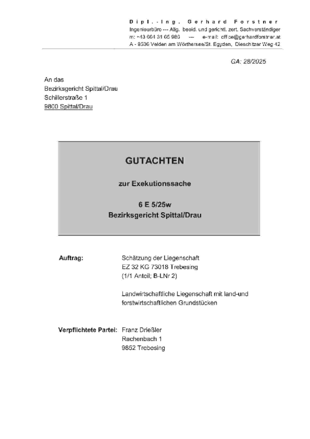 Gutachten_Drießler(Trebesing)-signed-c.pdf