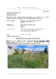 Gutachten 2301 Groß Enzersdorf, Wiener Straße 1.pdf