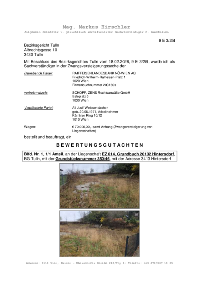Gutachten 3413, Weissendacher.pdf