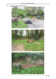 Gutachten nur Fotos.pdf