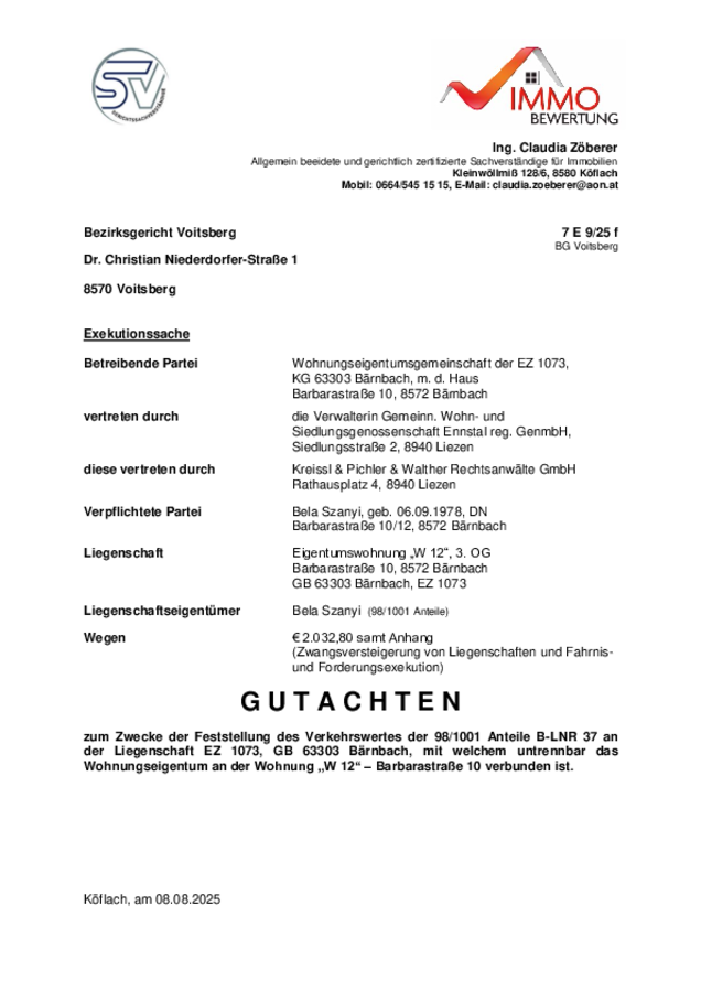 Gutachten_Szanyi.pdf