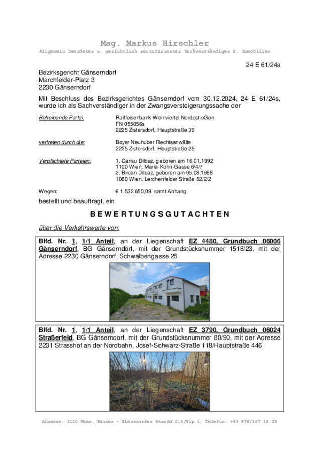 Gutachten Dilbaz.pdf