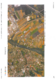doc00591920260417152046.pdf